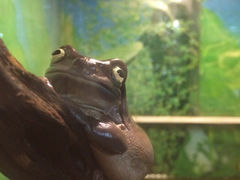 iphone_upload_pic-上海大自然野生昆虫馆