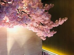 -紫· 割烹  Kappo Murasaki