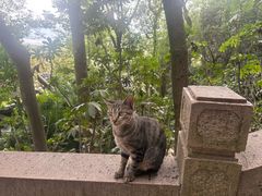 -狼山风景名胜区