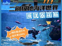-石家庄极地海洋世界