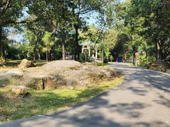 -广州市白云山风景名胜区