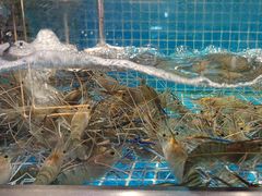 -曼格活海鲜·牛排自助(光明蓝鲸店)