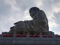 -龙口南山旅游景区