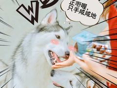 -星多哈·狗咖·拼豆·咖啡