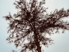 -白沙门生态公园