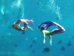 -瑞德姆美人鱼海底演艺主题餐厅(亚龙湾店)