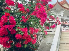 -福建泉州仙公山风景名胜区