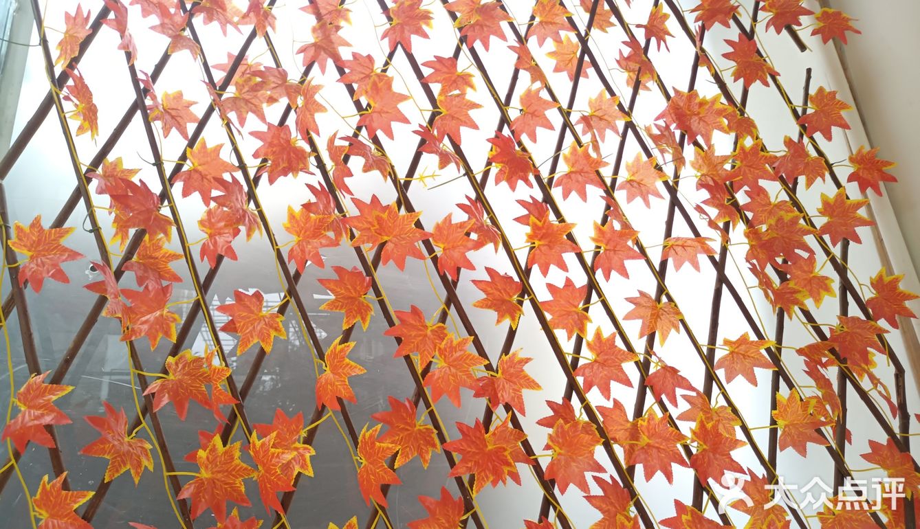 人在花间住人在草木中～咖啡馆里有个小小植物园