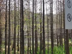 -福道