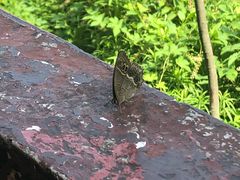 -敬亭山风景名胜区