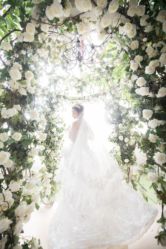 -麦莎MA3A摄影工作室(美兰金邸店)