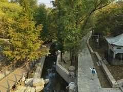 -白水寺森林公园
