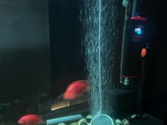 -大唐盲人按摩中心(天山路店)