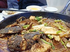 -老板恋上鱼(高新万达店)