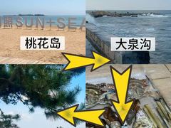 -巧克力渔家.小船海鲜胶东菜(万平口店)