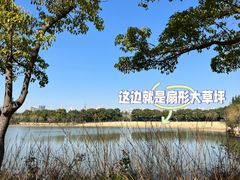 -黄兴公园