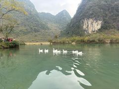 -靖西鹅泉风景区