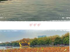 -西湖外事游船(湖滨二公园外事游船码头)