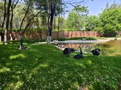 -北京野生动物园