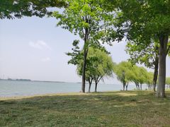 -漕湖湿地公园