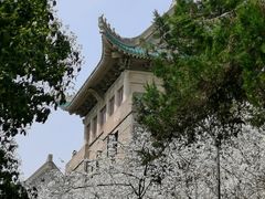 -武汉大学-樱园