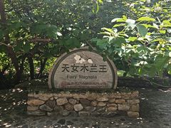 -大连天门山国家森林公园