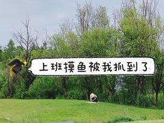 -大理洱海