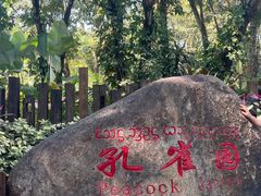 -西双版纳傣族园