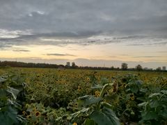 -汉长安城未央宫国家考古遗址公园