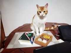 -星巴克(钦江路店)