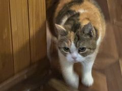 -隅cafe(傅厚岗店)