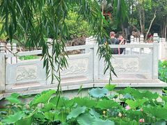 -莲湖公园
