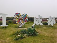 -空港花田景区