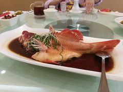 -新加坡泰园村酒楼直营(新华路店)