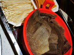 -钢管厂五区小郡肝串串香(通锦桥店)