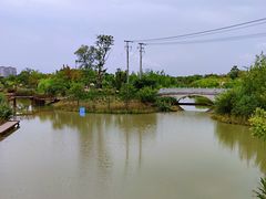 -上海长兴岛郊野公园