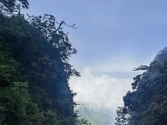 -峨眉山风景名胜区