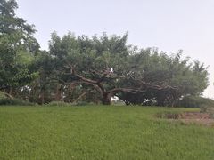 -元大都城垣遗址公园