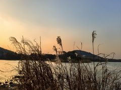 -长广溪湿地公园