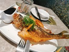 -大树餐厅(红旗街万达店)