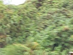 -郴州西站