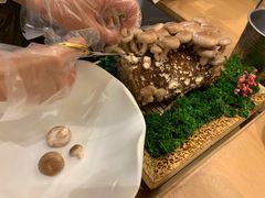 -湯系·煲汤手艺人(东二环泰禾广场店)