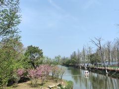 -洋湖国家湿地公园