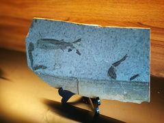 -水月·和牛工坊(水晶郦城店)