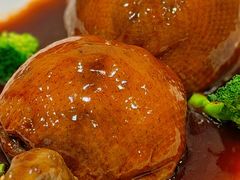 -丁老爷子苏香圆