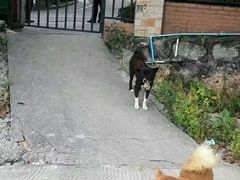 -广州世界大观