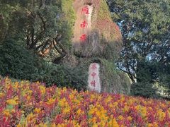 -梅州天地人花园酒店(梅县人民广场店)