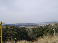 -高尔山公园