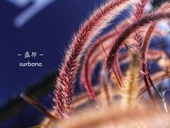 -盛邦家居建材广场