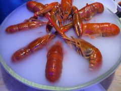 -红盔甲·小龙虾(定西路店)